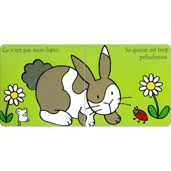 Où est mon lapin | French Usborne Book | 9780746066935 - Little Linguist